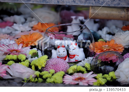 宮城県岩沼市・竹駒神社の花手水の中のお稲荷さま 宮城県岩沼市・竹駒神社の花手水の中のお稲荷さま 139570433