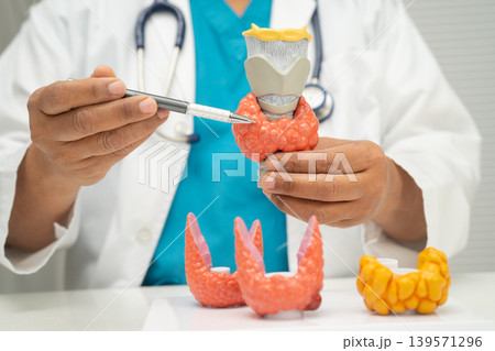Hyperthyroidism, Overactive Thyroid, Thyroid Lymphoma, Asian doctor with thyroid gland human anatomy model in hospital. 139571296