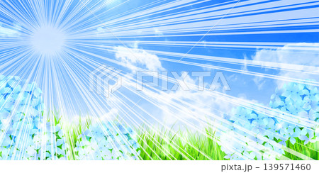夏の日差しと紫陽花が咲く青空の背景 夏の日差しと紫陽花が咲く青空の背景 139571460