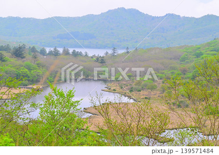 新緑の覚満渕　赤城大沼　鳥居峠からの眺め　 139571484