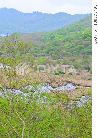 新緑の覚満渕　赤城大沼　鳥居峠からの眺め　 139571491