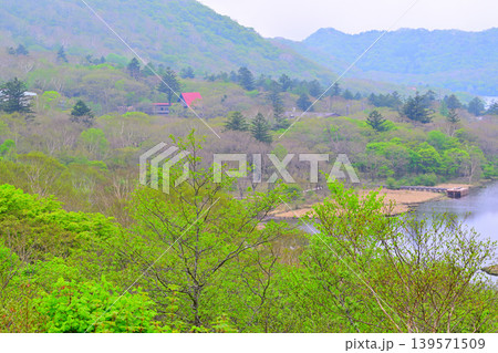 新緑の鳥居峠からの眺め　覚満渕　赤城山 139571509