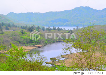 新緑の覚満渕 赤城大沼 鳥居峠からの眺め 新緑の覚満渕 赤城大沼 鳥居峠からの眺め 139571511