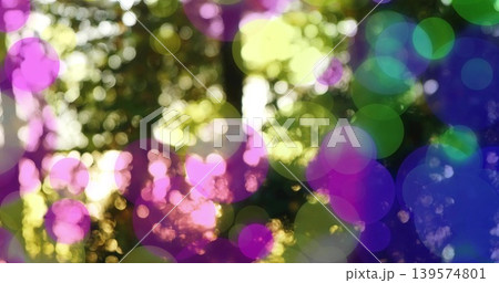 Glowing translucent bokeh circles dancing over sunlit woods, revealing blurred trunks and leaves Glowing translucent bokeh circles dancing over sunlit woods, revealing blurred trunks and leaves 139574801