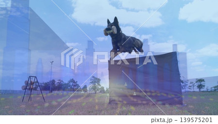 Jumping collared dog clearing rectangular jump in open field, carrying dumbbell and skyline overlay Jumping collared dog clearing rectangular jump in open field, carrying dumbbell and skyline overlay 139575201
