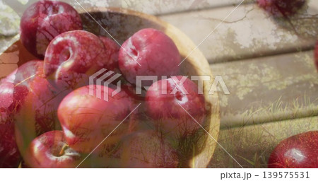 Displaying shallow wooden bowl holding glossy red apples on wooden deck, with tree branch overlay 139575531