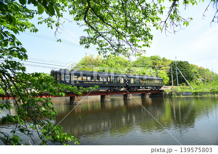大池遊園(貴志川線・たま電車ミュージアム号) 【和歌山県紀の川市】 大池遊園(貴志川線・たま電車ミュージアム号) 【和歌山県紀の川市】 139575803