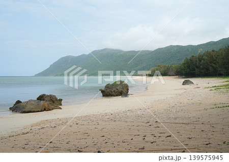 沖縄県_西表島_南風見田の浜 沖縄県_西表島_南風見田の浜 139575945