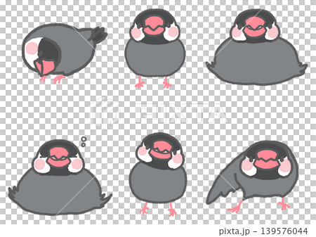 いろいろなポーズの桜文鳥 いろいろなポーズの桜文鳥 139576044