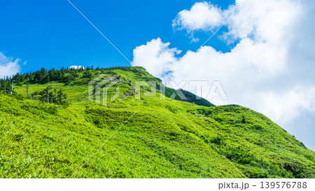 夏の岩菅山登山(ノッキリ~岩菅山山頂) 夏の岩菅山登山(ノッキリ~岩菅山山頂) 139576788