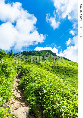 夏の岩菅山登山（ノッキリ～岩菅山山頂） 139576799