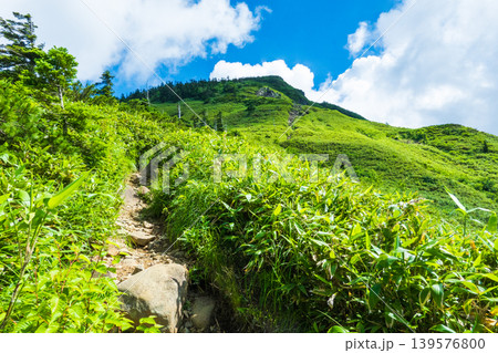 夏の岩菅山登山(ノッキリ~岩菅山山頂) 夏の岩菅山登山(ノッキリ~岩菅山山頂) 139576800