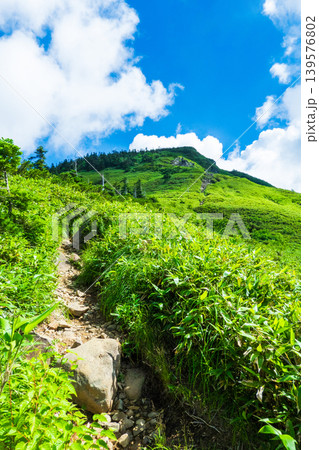 夏の岩菅山登山(ノッキリ~岩菅山山頂) 夏の岩菅山登山(ノッキリ~岩菅山山頂) 139576802