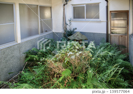 昭和の日本家屋 草木の生えた荒れた中庭 昭和の日本家屋 草木の生えた荒れた中庭 139577064