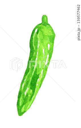 ししとう シシトウガラシ(単品) 野菜の手描き水彩イラスト素材 ししとう シシトウガラシ(単品) 野菜の手描き水彩イラスト素材 139577462