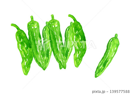 ししとう（シシトウガラシ）のセット　野菜の手描き水彩イラスト素材 139577588