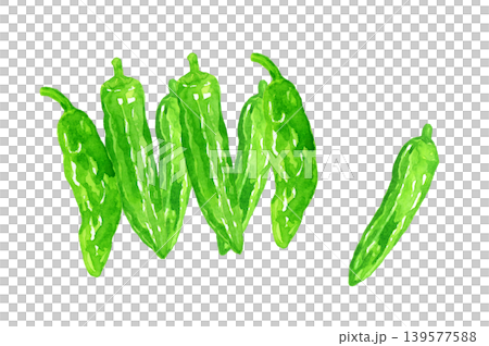 ししとう（シシトウガラシ）のセット　野菜の手描き水彩イラスト素材 139577588