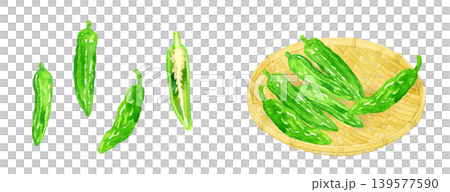 Shishito pepper (Shishito bell pepper) set - Hand-drawn watercolor illustration of vegetables Shishito pepper (Shishito bell pepper) set - Hand-drawn watercolor illustration of vegetables 139577590