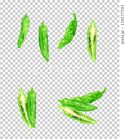 Shishito pepper (Shishito bell pepper) set - Hand-drawn watercolor illustration of vegetables Shishito pepper (Shishito bell pepper) set - Hand-drawn watercolor illustration of vegetables 139577591