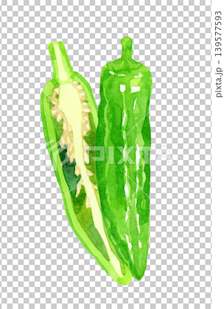 切成兩半的獅子椒 - 手繪水彩蔬菜插圖 切成兩半的獅子椒 - 手繪水彩蔬菜插圖 139577593