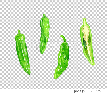 Shishito pepper (Shishito bell pepper) set - Hand-drawn watercolor illustration of vegetables 139577598