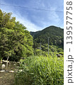 日本の里山の風景・新緑の山々と澄んだ小川・初夏の田舎道・清流と竹林・自然背景素材 139577758
