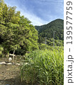日本の里山の風景・新緑の山々と澄んだ小川・初夏の田舎道・清流と竹林・自然背景素材 139577759