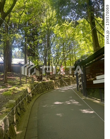 比叡山(延暦寺) 比叡山(延暦寺) 139578069