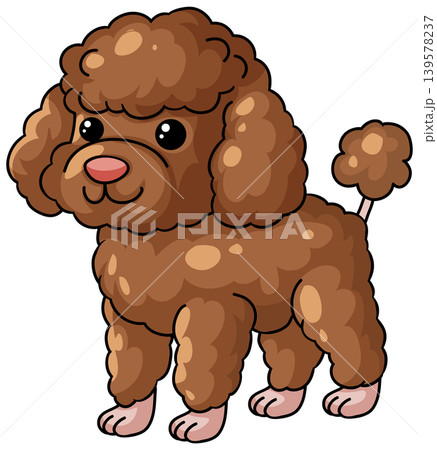 Cute Brown Poodle Puppy Standing Vector Illustration on White Background Cute Brown Poodle Puppy Standing Vector Illustration on White Background 139578237