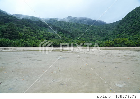 沖縄県_西表島_網取湾_ウダラ浜 沖縄県_西表島_網取湾_ウダラ浜 139578378
