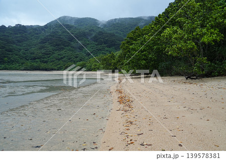 沖縄県_西表島_網取湾_ウダラ浜 沖縄県_西表島_網取湾_ウダラ浜 139578381