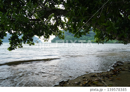 沖縄県_西表島_網取湾_ウダラ浜 沖縄県_西表島_網取湾_ウダラ浜 139578385