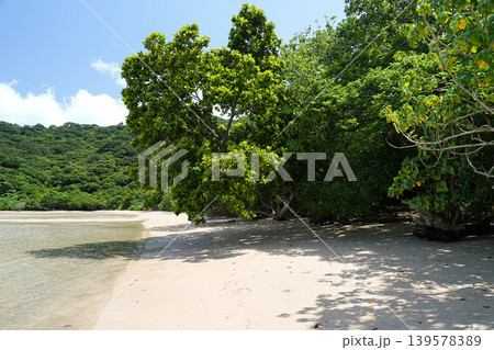 沖縄県_西表島_網取湾_ウダラ浜 139578389