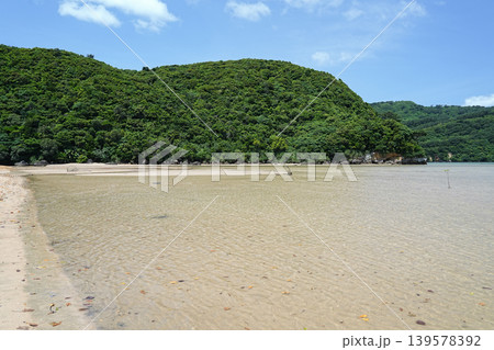 沖縄県_西表島_網取湾_ウダラ浜 139578392