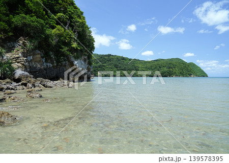 沖縄県_西表島_網取湾_アヤンダ川河口 139578395