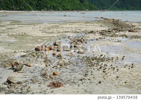 沖縄県_西表島_崎山湾 沖縄県_西表島_崎山湾 139578438