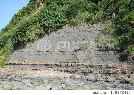 沖縄県_西表島_網取湾 沖縄県_西表島_網取湾 139578453