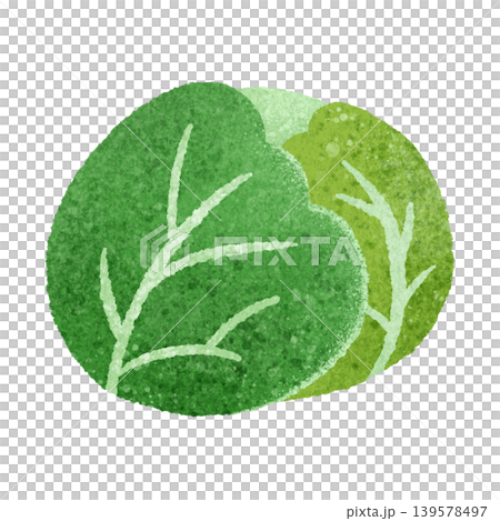 可愛的手繪捲心菜插圖素材 可愛的手繪捲心菜插圖素材 139578497