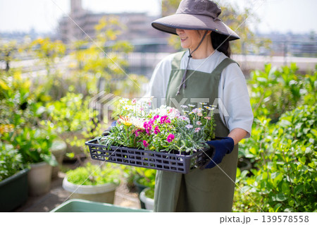 花の苗を植え付けする日本人の女性 花の苗を植え付けする日本人の女性 139578558