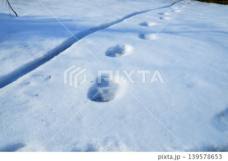 Footprints in Fresh Snow on a Winter Trail 139578653