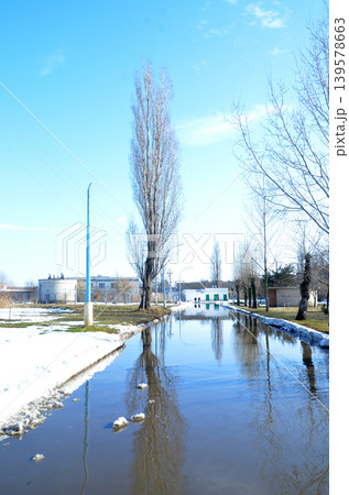 Winter canal with reflections and bare trees Winter canal with reflections and bare trees 139578663