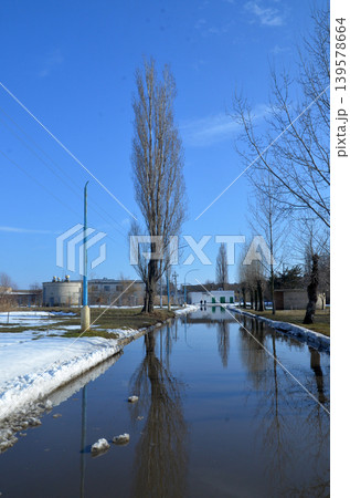 Flooded winter path lined with bare trees Flooded winter path lined with bare trees 139578664