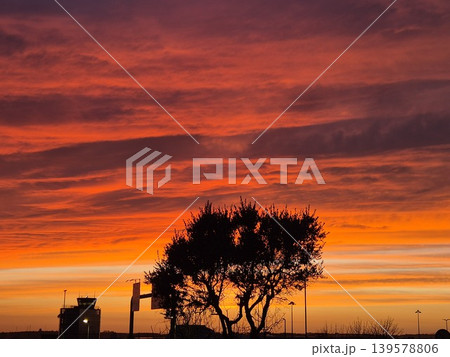 Silhouetted tree under dramatic sunset sky Silhouetted tree under dramatic sunset sky 139578806