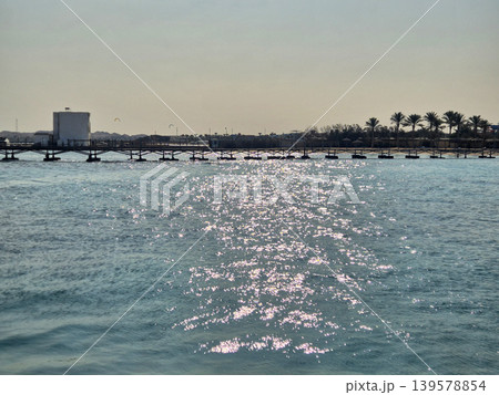 Sunlit calm sea with distant pier and palms Sunlit calm sea with distant pier and palms 139578854