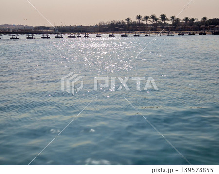 Sunlit calm sea with distant pier and palms Sunlit calm sea with distant pier and palms 139578855