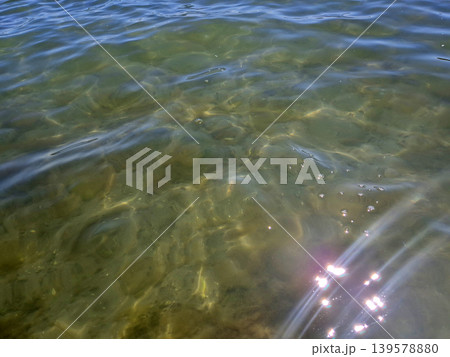 Clear rippling water surface with sunlight reflections Clear rippling water surface with sunlight reflections 139578880