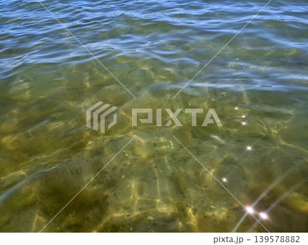 Clear lake water with gentle surface ripples Clear lake water with gentle surface ripples 139578882
