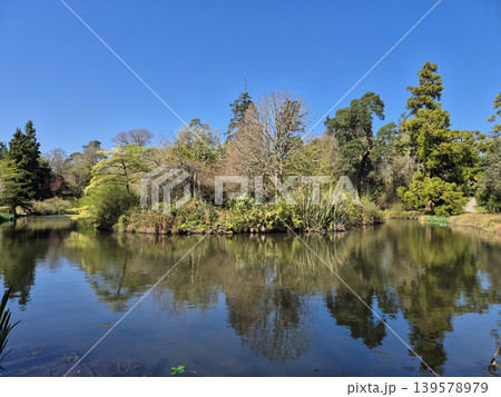Serene pond with trees and reflections under blue sky Serene pond with trees and reflections under blue sky 139578979