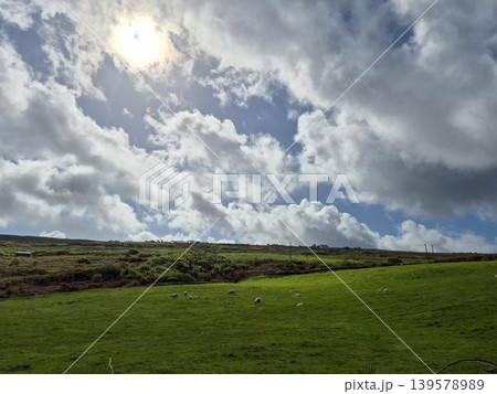 Green pasture beneath dramatic cloudy sky 139578989