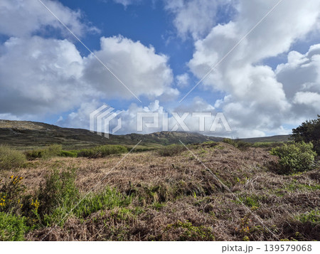 Wild moorland landscape under dramatic cloudy sky 139579068
